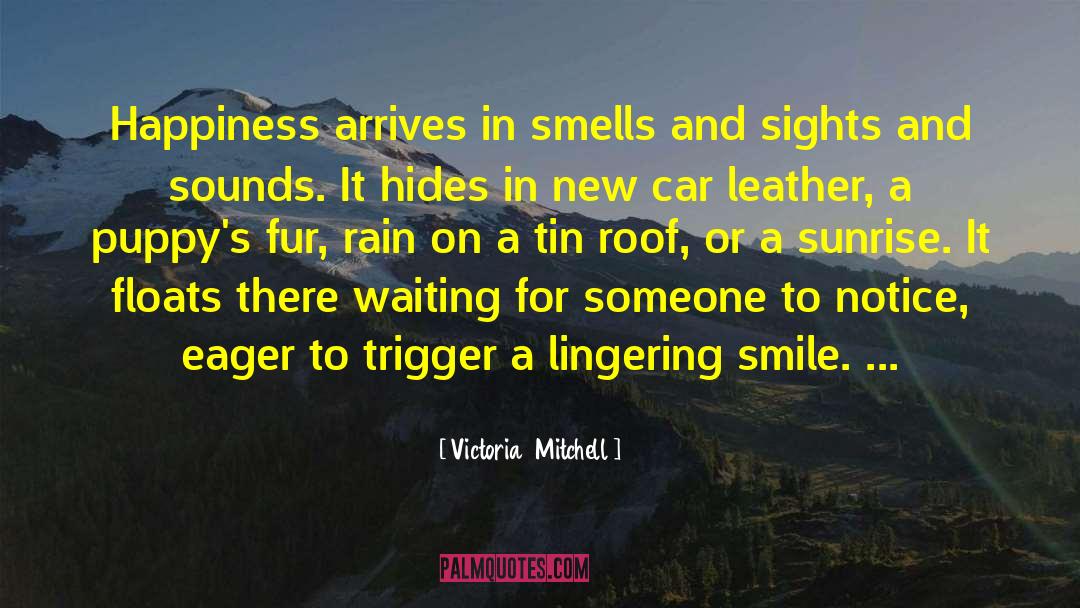 Smile Hides Sadness quotes by Victoria  Mitchell