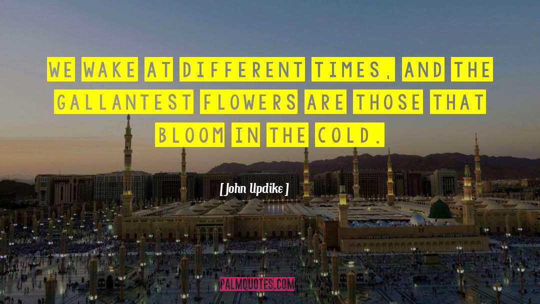 Smiles Bloom quotes by John Updike