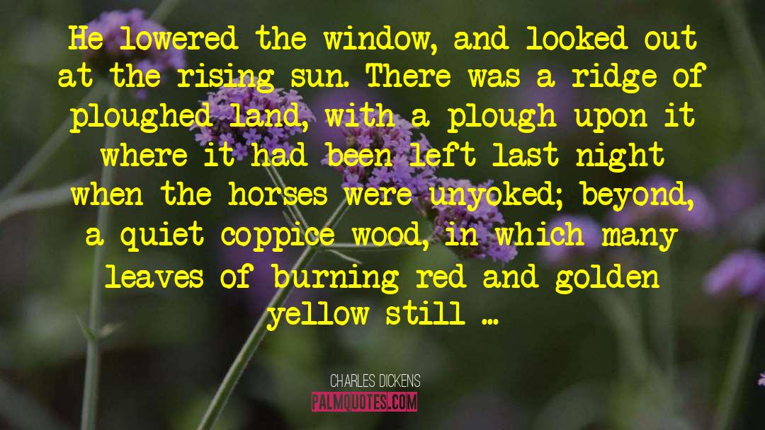 Smoke In The Sun quotes by Charles Dickens