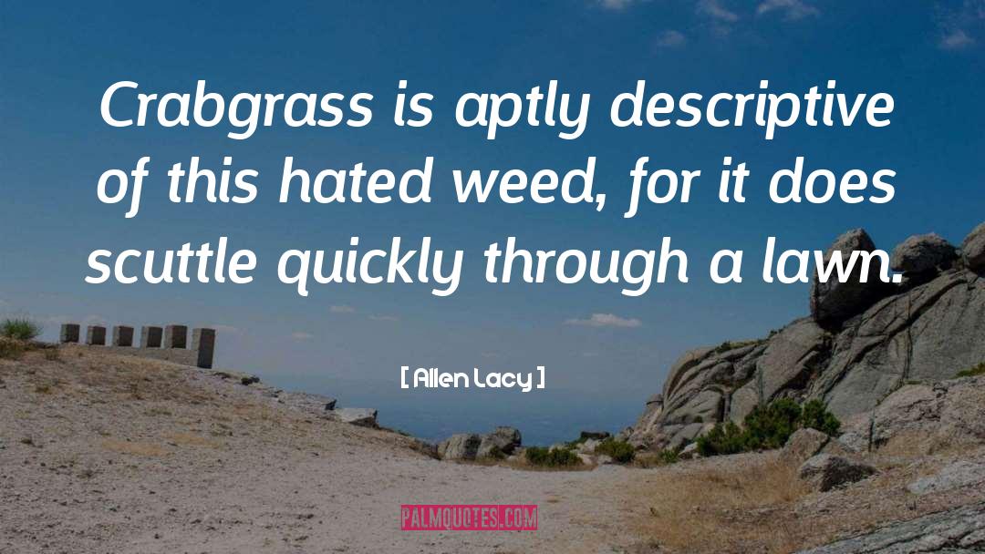 Smoke Weed quotes by Allen Lacy