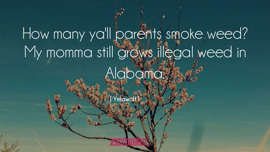 Smoke Weed quotes by Yelawolf