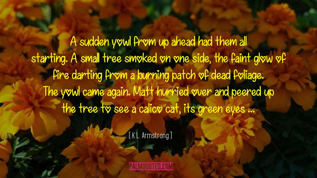 Smoked quotes by K.L. Armstrong