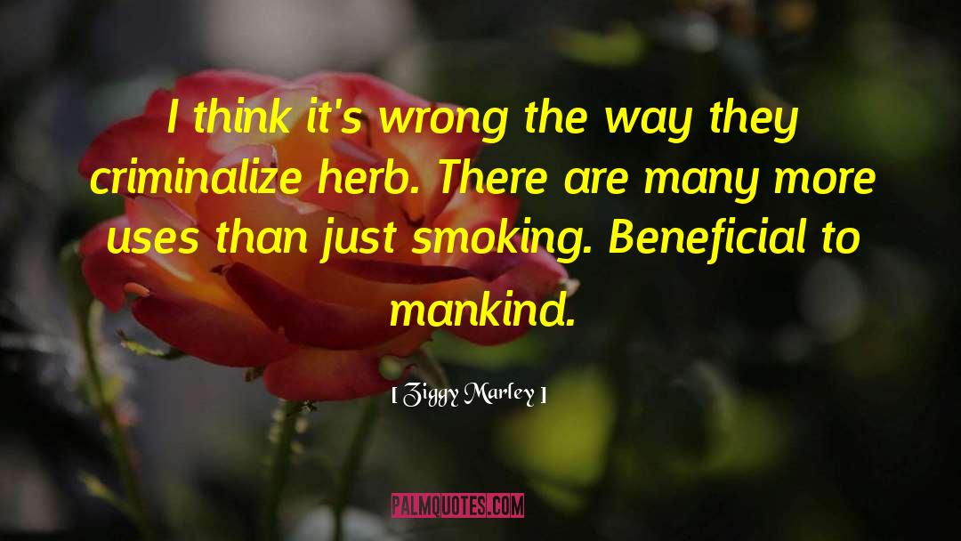 Smoking Ads quotes by Ziggy Marley