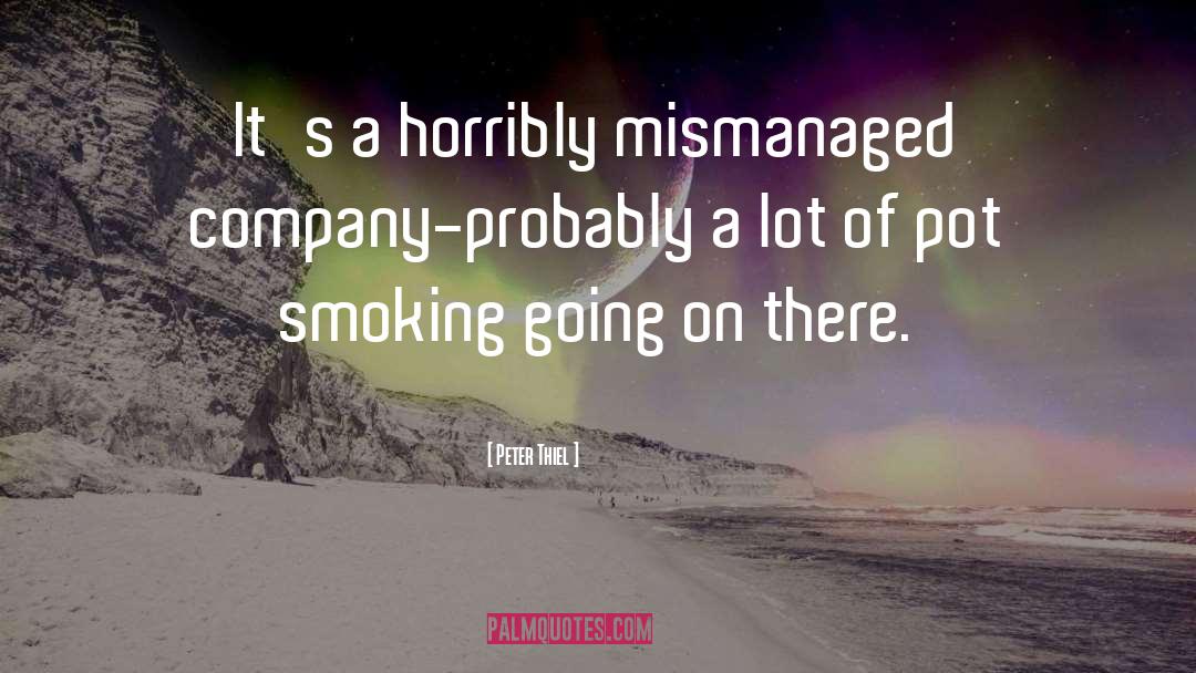 Smoking Pot quotes by Peter Thiel