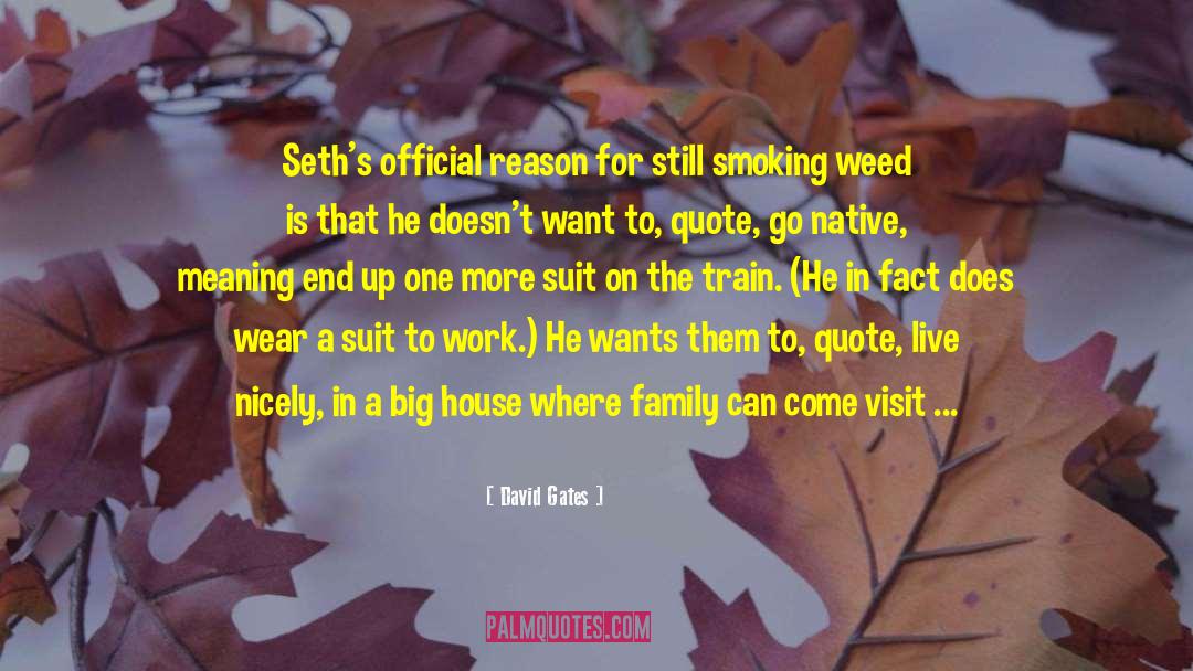 Smoking Weed quotes by David Gates