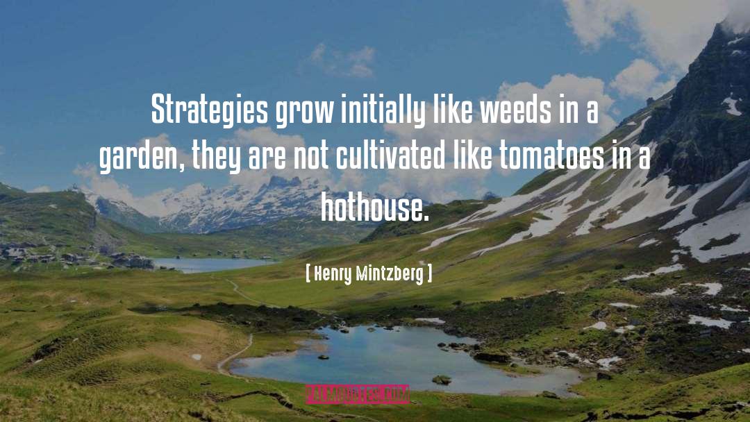 Smoking Weed quotes by Henry Mintzberg