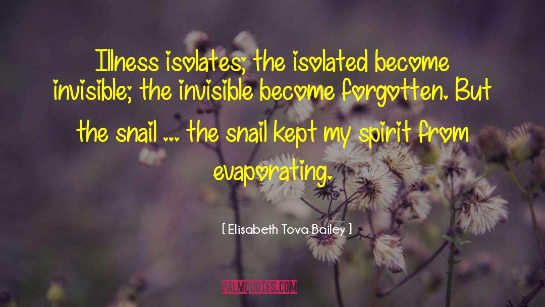 Snail quotes by Elisabeth Tova Bailey