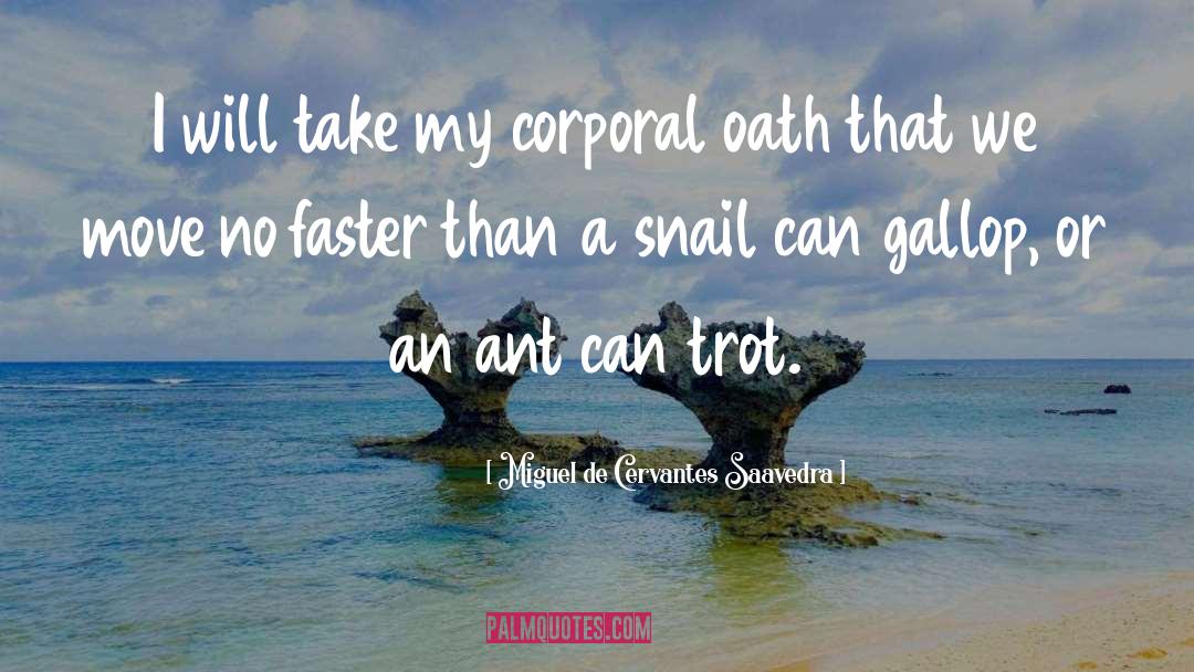 Snail quotes by Miguel De Cervantes Saavedra