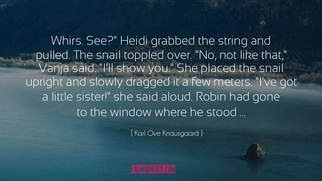 Snail quotes by Karl Ove Knausgaard