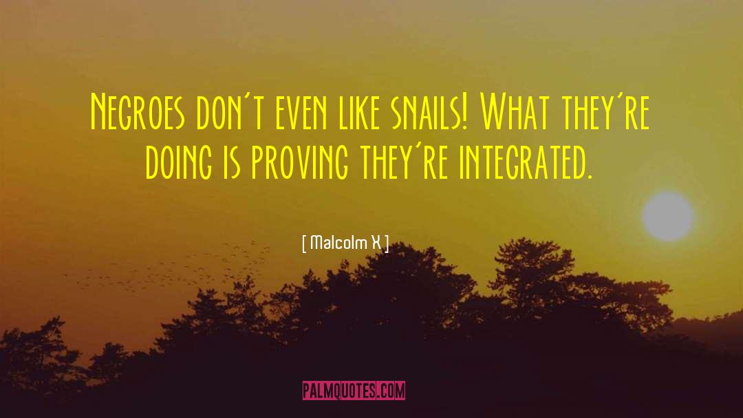 Snails quotes by Malcolm X