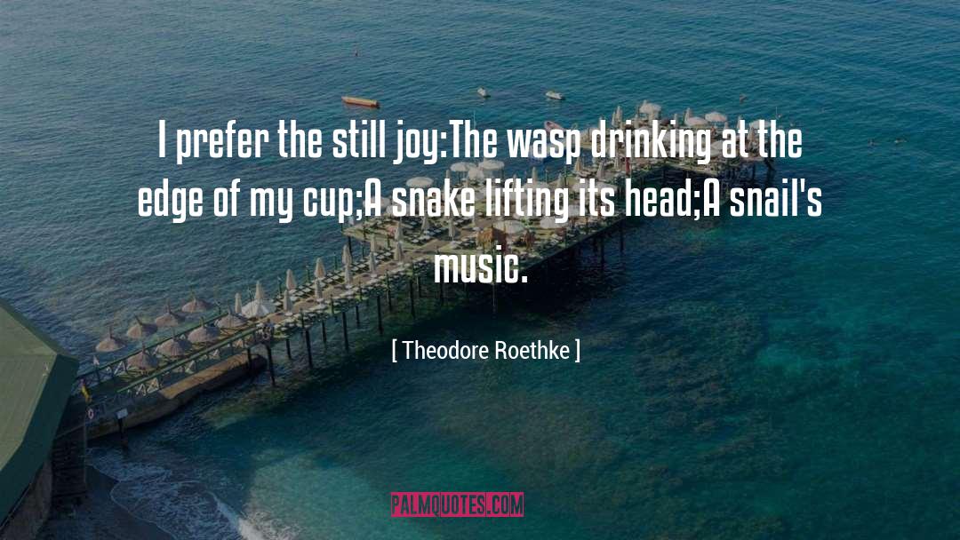 Snails quotes by Theodore Roethke