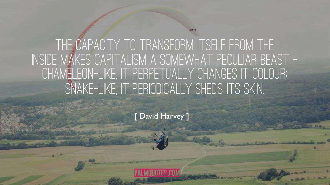 Snake Like quotes by David Harvey