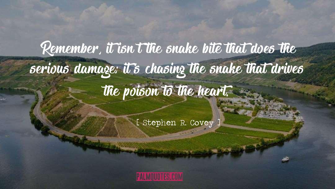 Snake quotes by Stephen R. Covey