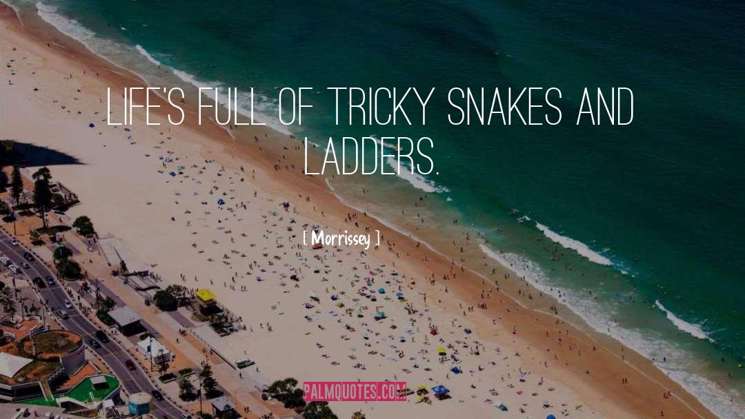 Snakes And Ladders quotes by Morrissey