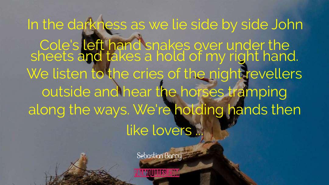 Snakes As Pets quotes by Sebastian Barry