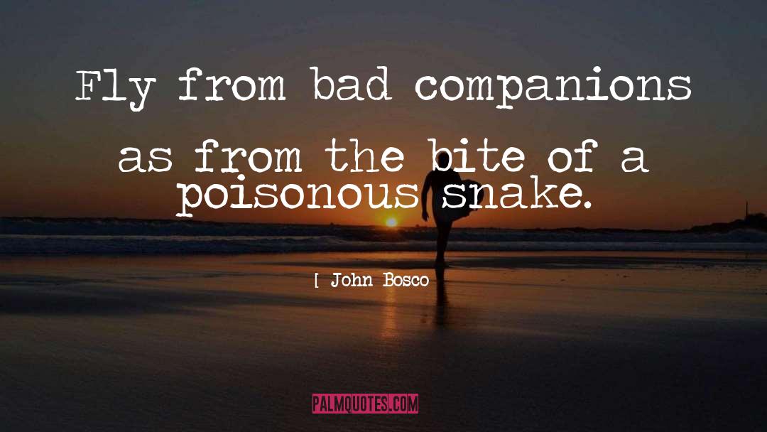 Snakes As Pets quotes by John Bosco