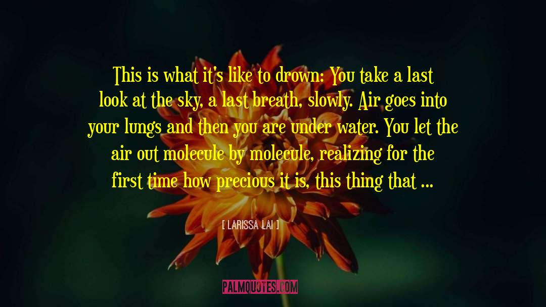 Snakes Need To Breath Air quotes by Larissa Lai