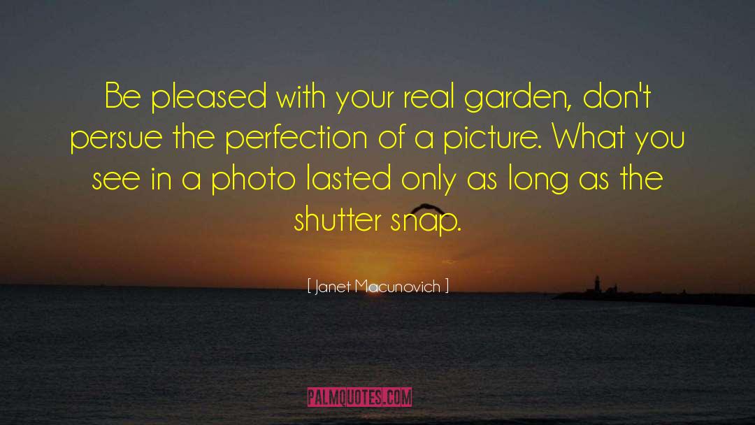 Snap quotes by Janet Macunovich