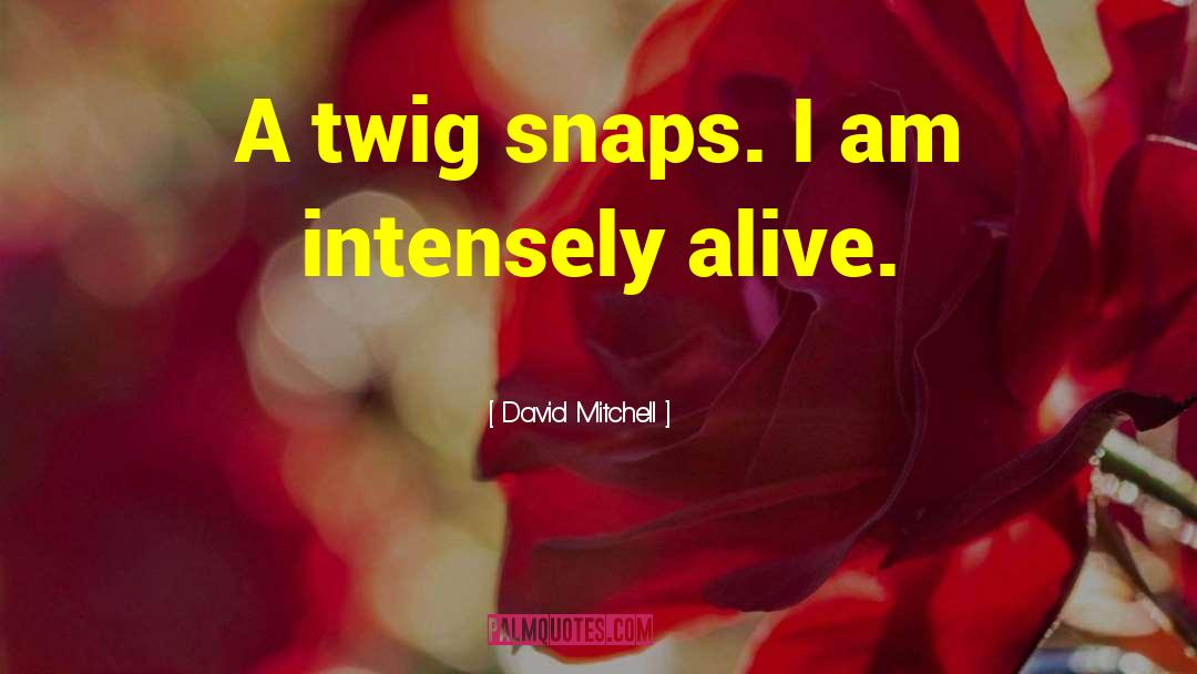Snaps quotes by David Mitchell