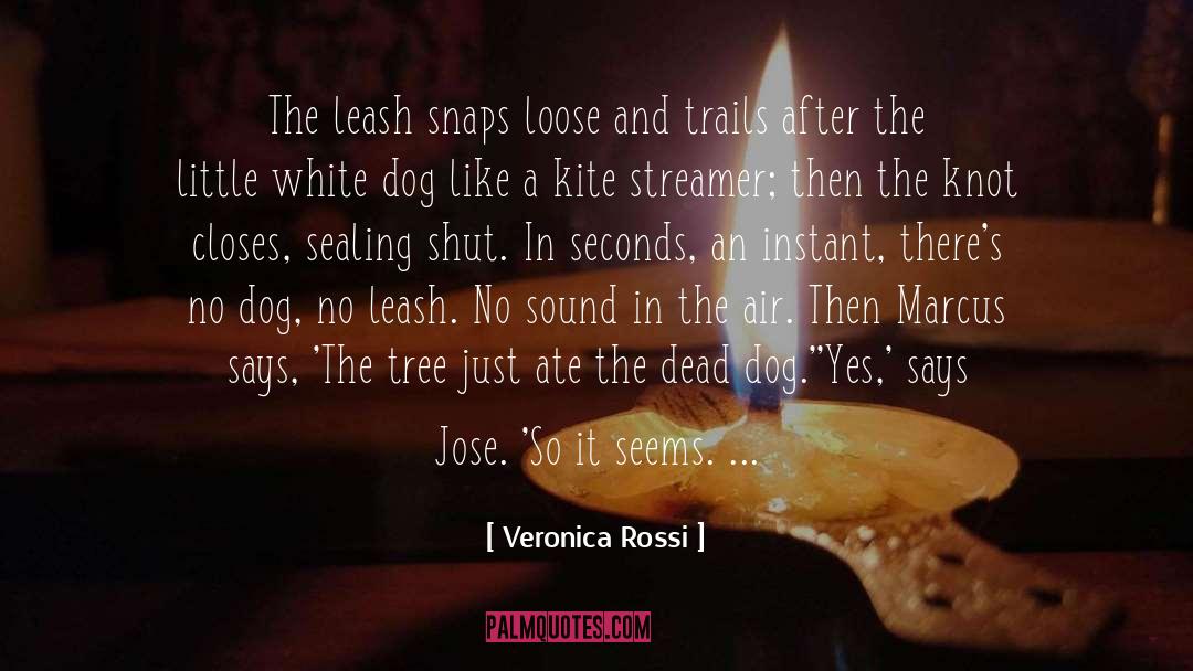 Snaps quotes by Veronica Rossi