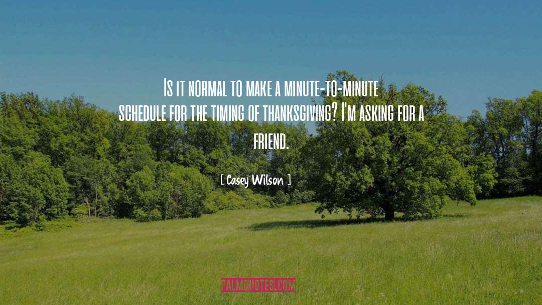 Snarky Thanksgiving quotes by Casey Wilson