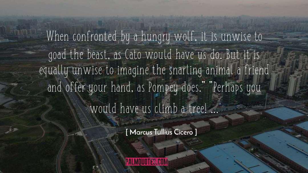 Snarling quotes by Marcus Tullius Cicero