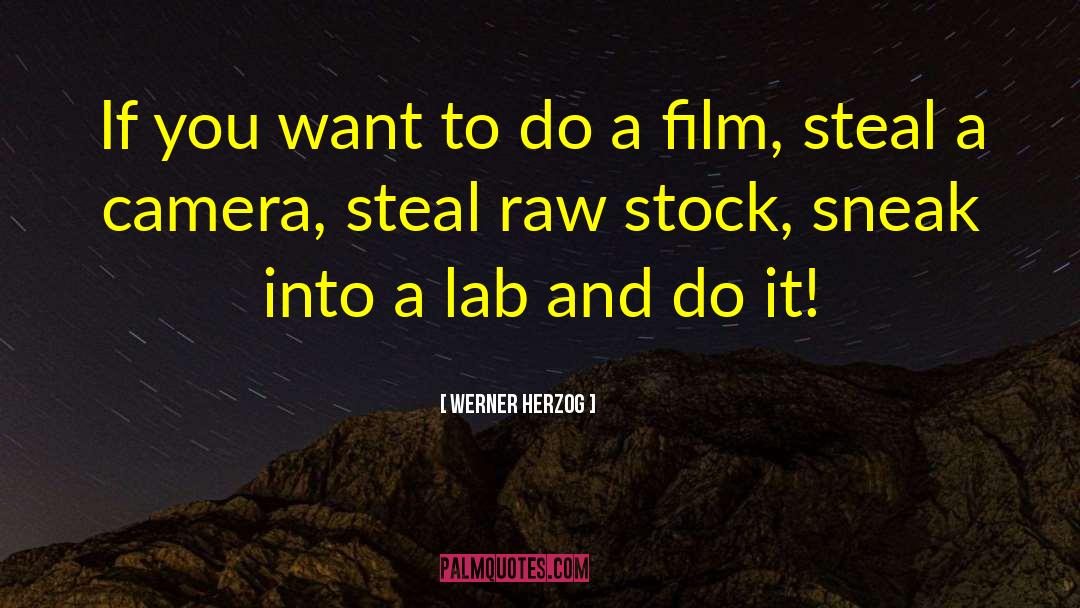 Sneak In quotes by Werner Herzog