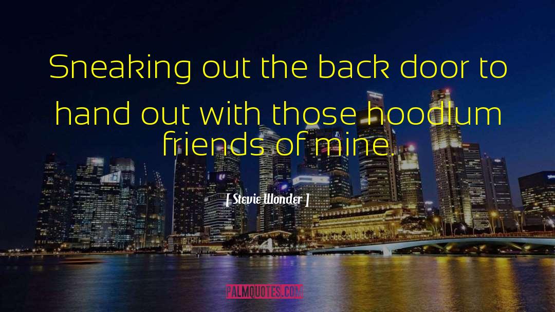 Sneaking Out quotes by Stevie Wonder