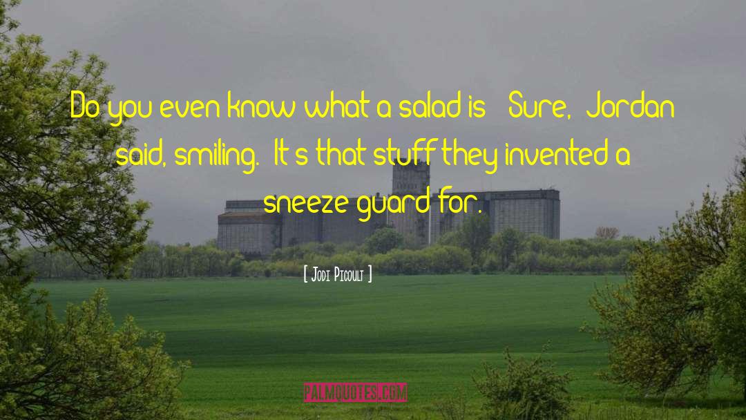 Sneeze quotes by Jodi Picoult