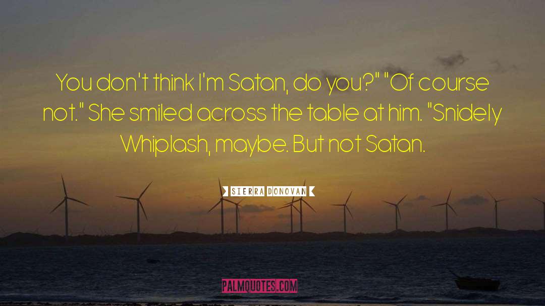 Snidey Whiplash quotes by Sierra Donovan