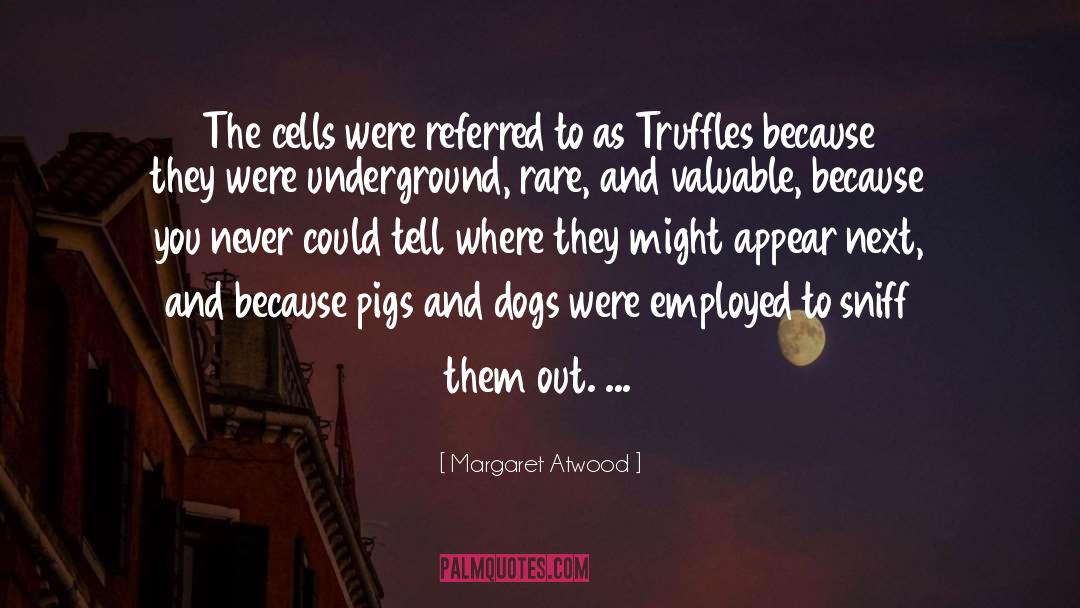 Sniff quotes by Margaret Atwood