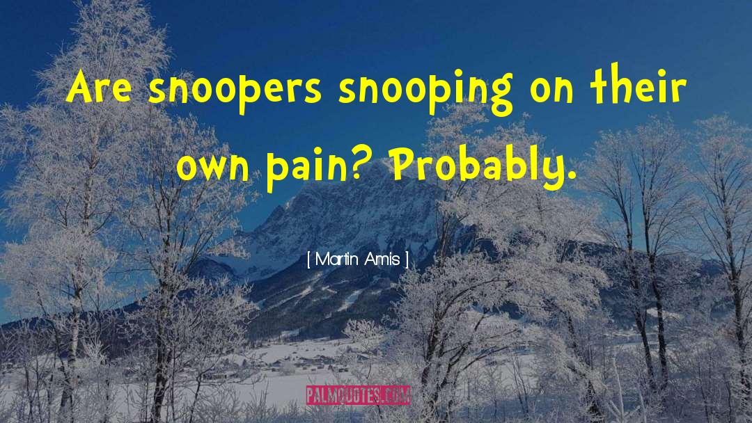 Snooping quotes by Martin Amis