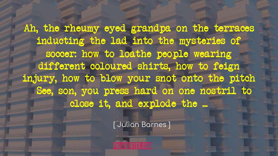 Snot quotes by Julian Barnes