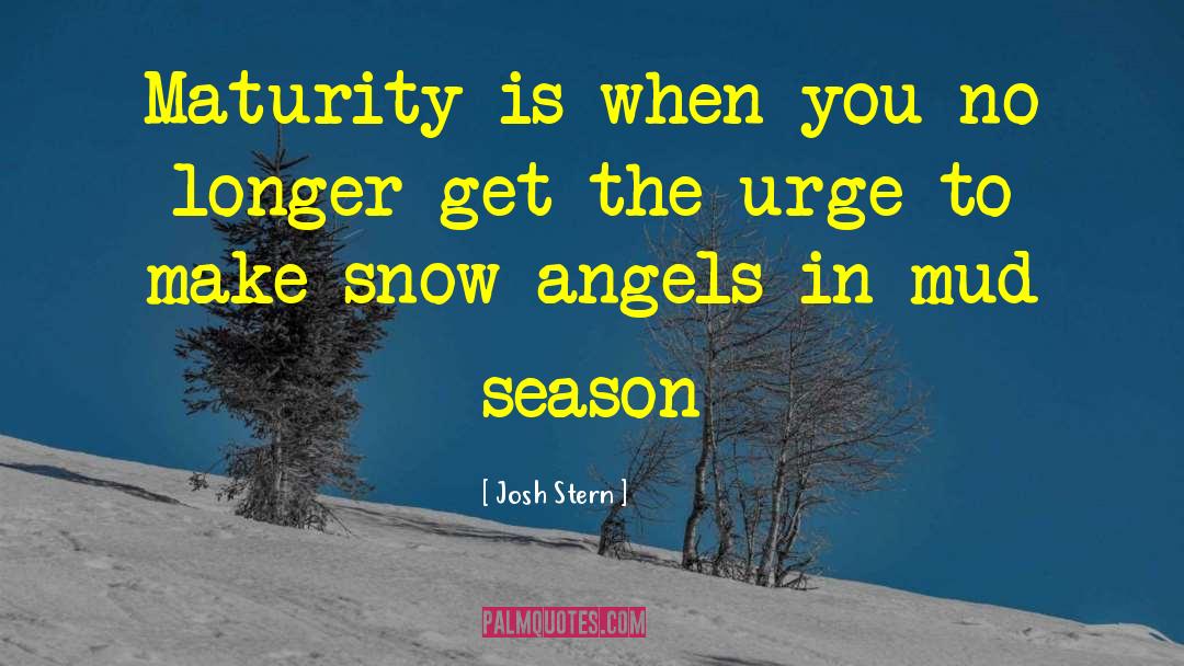 Snow Angels quotes by Josh Stern