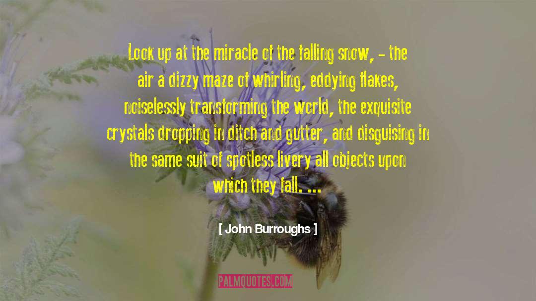 Snow Blanket quotes by John Burroughs