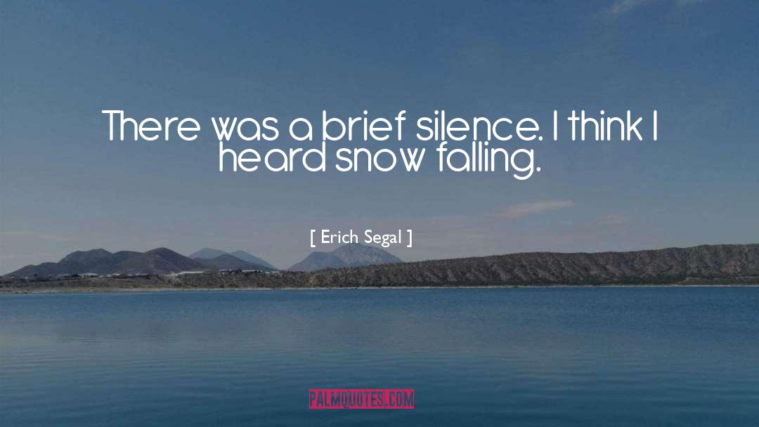 Snow Falling quotes by Erich Segal