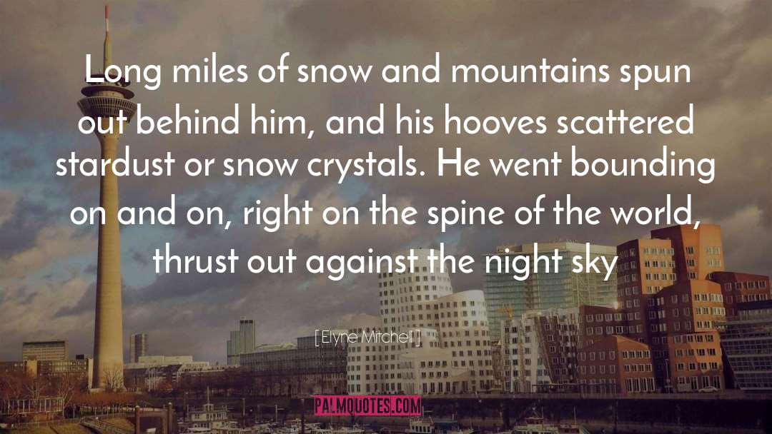 Snow quotes by Elyne Mitchell