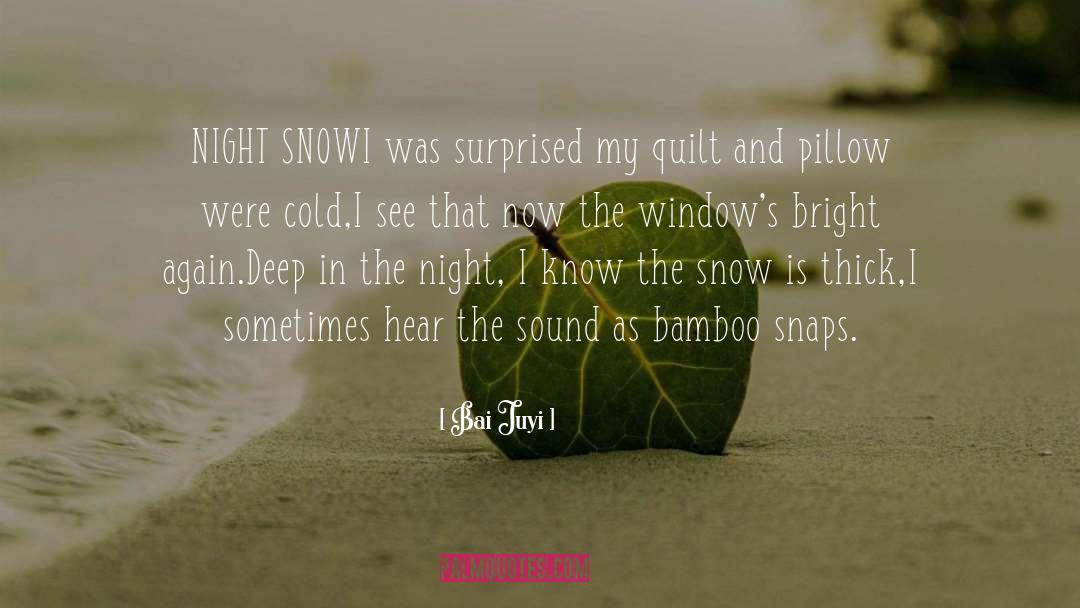 Snow quotes by Bai Juyi