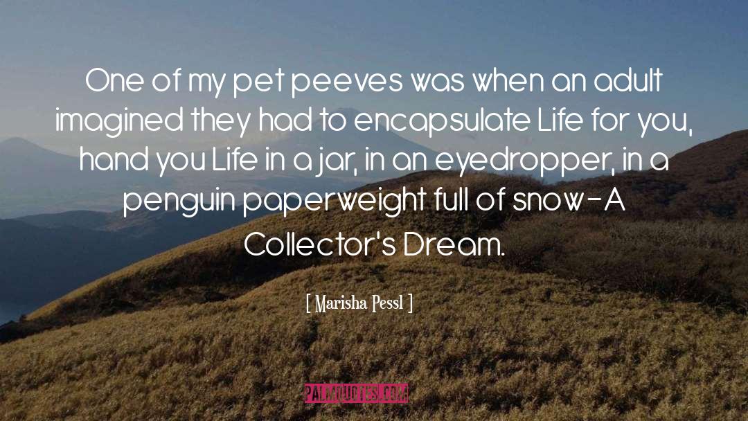 Snow quotes by Marisha Pessl