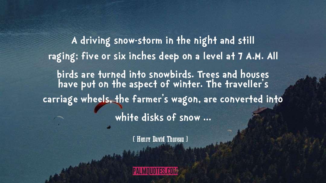 Snow Storm quotes by Henry David Thoreau