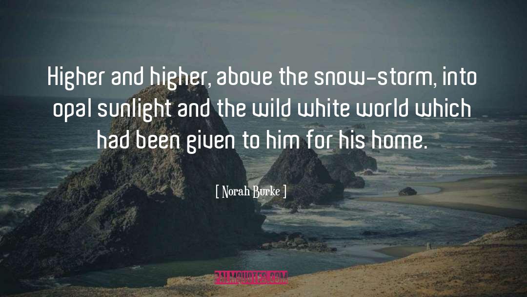 Snow Storm quotes by Norah Burke
