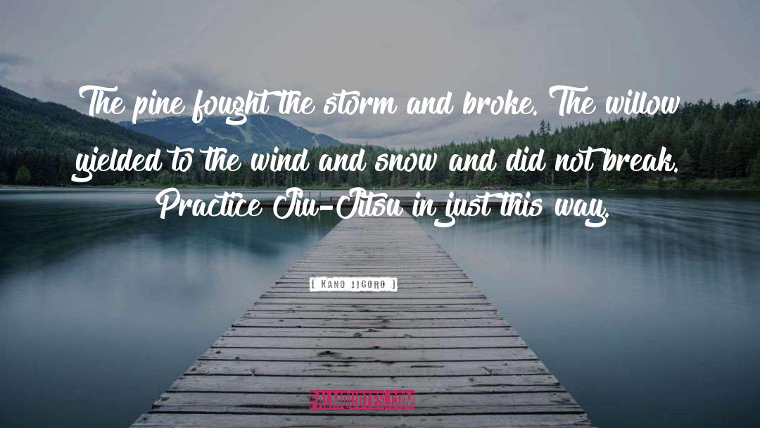 Snow Storm quotes by Kano Jigoro