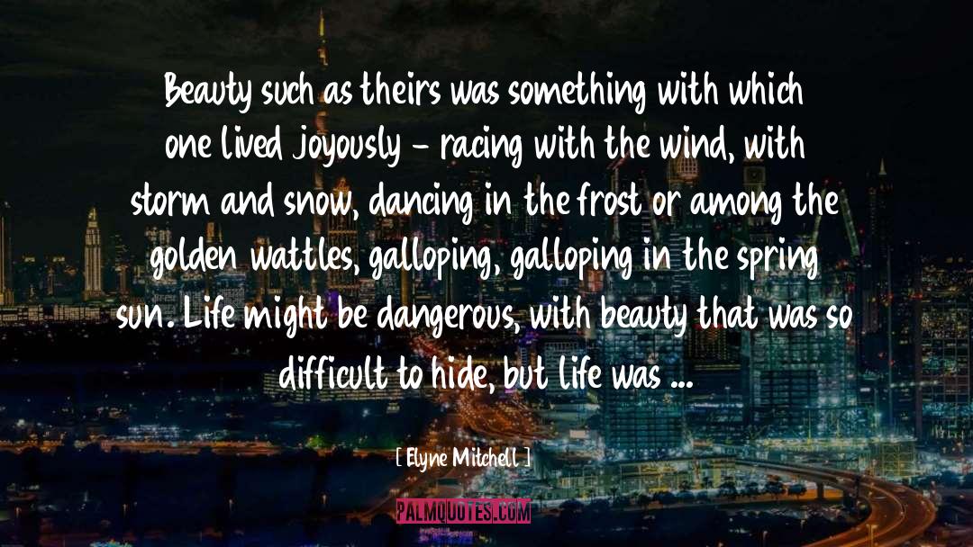 Snow Storm quotes by Elyne Mitchell