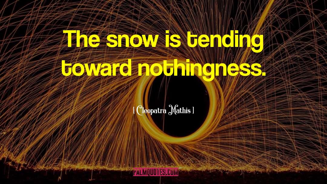 Snow Storms quotes by Cleopatra Mathis