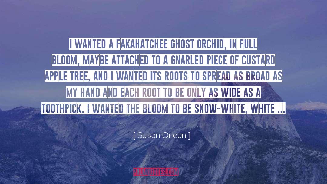 Snow White And The Huntsman quotes by Susan Orlean