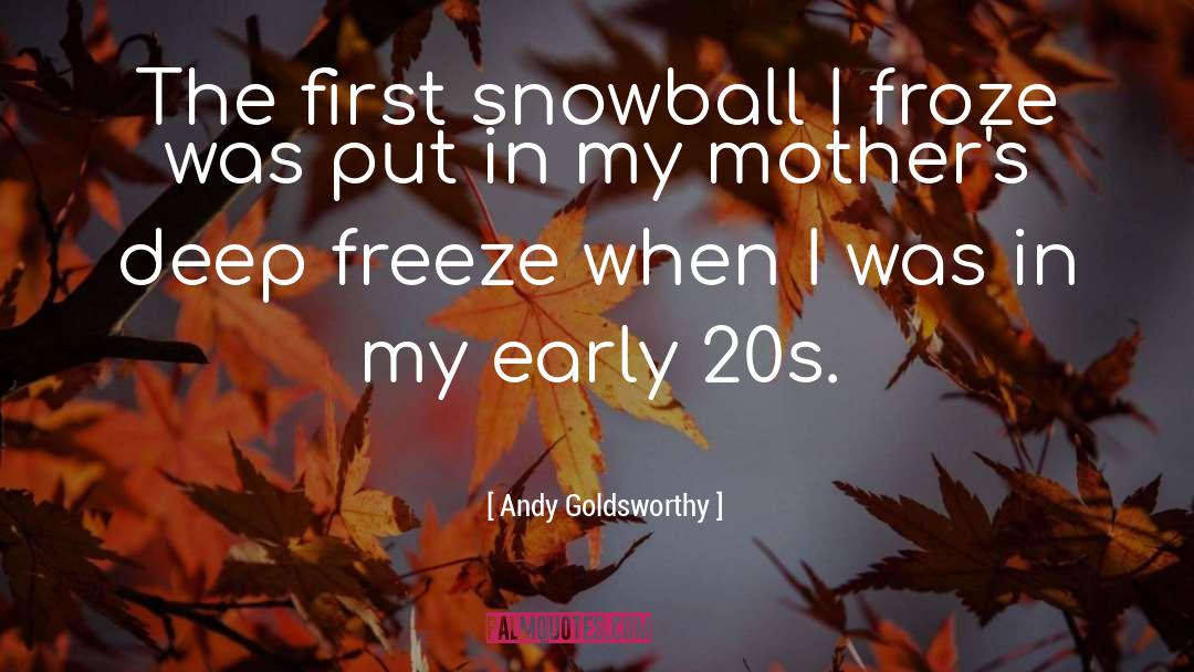 Snowball quotes by Andy Goldsworthy