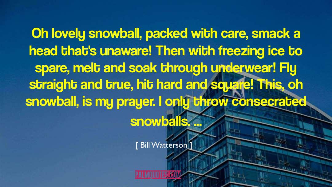 Snowballs quotes by Bill Watterson