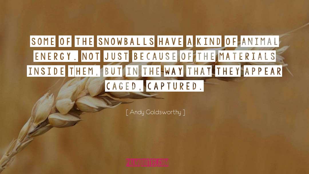 Snowballs quotes by Andy Goldsworthy