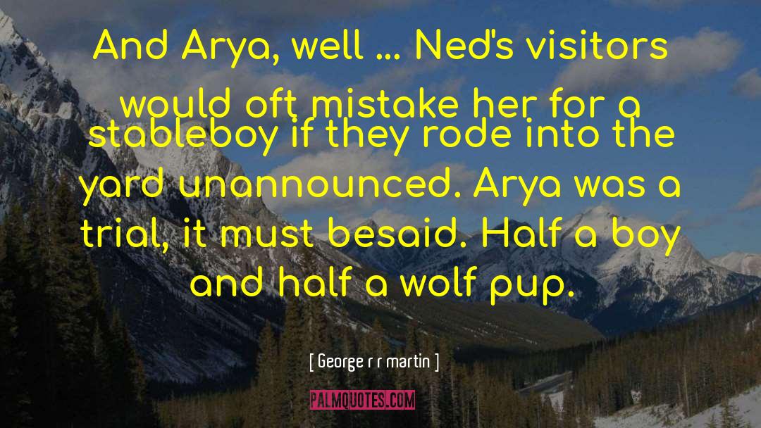 Snowdancer Pup quotes by George R R Martin