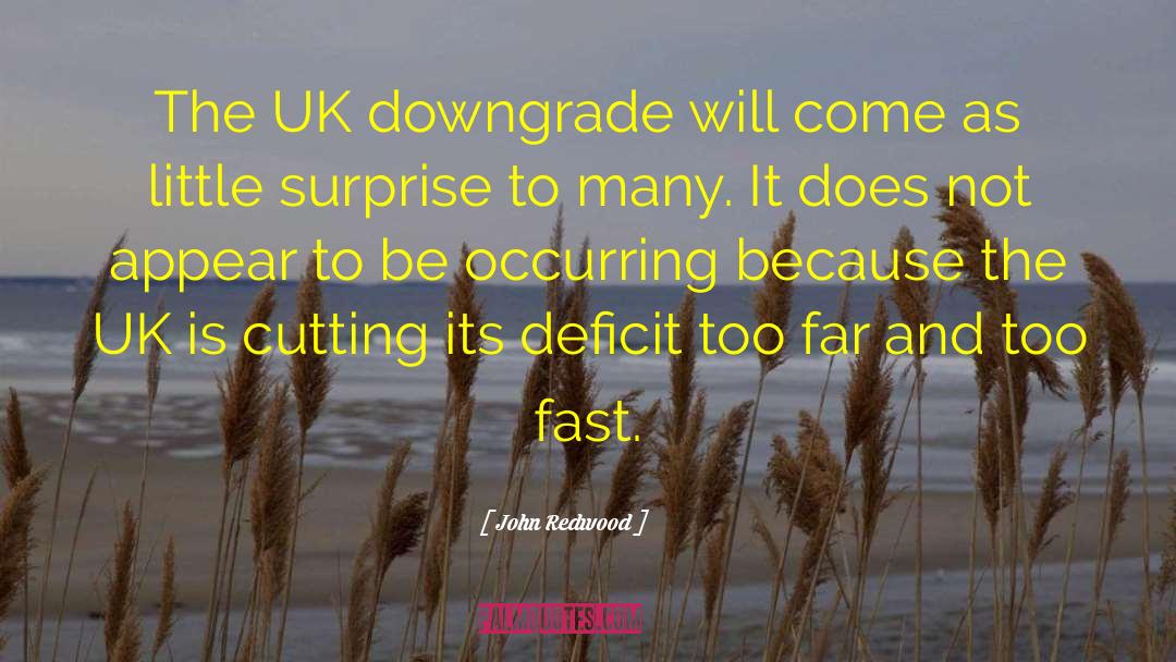 Snowdome Uk quotes by John Redwood